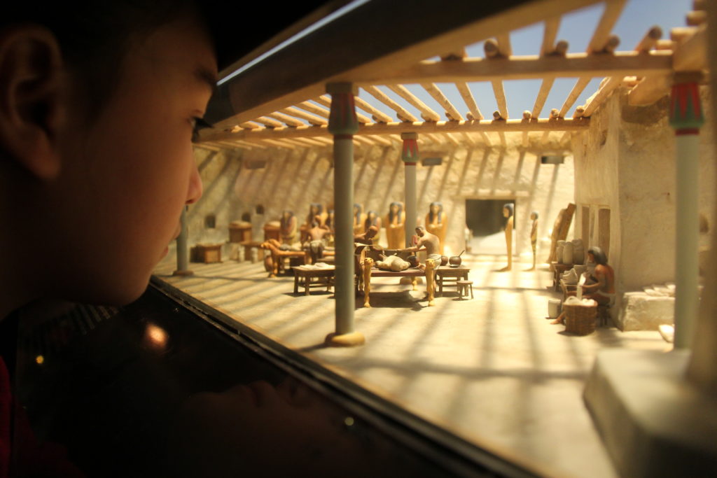 Kaiya studying the miniature burial diorama at the Field Museum's Inside Egypt exhibit