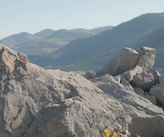 Frank Slide Interpretative Centre